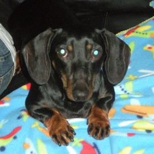 Meet your Posher, Carrie